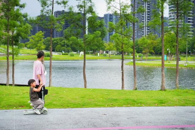 来了怎能只看“浙BA”？这个公园超好逛，攻略都整理好了