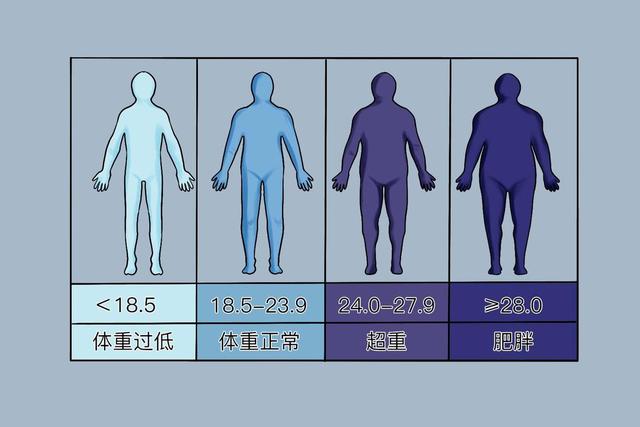 女性标准体重对照表来了！身高158cm的女性，体重多少才正常？