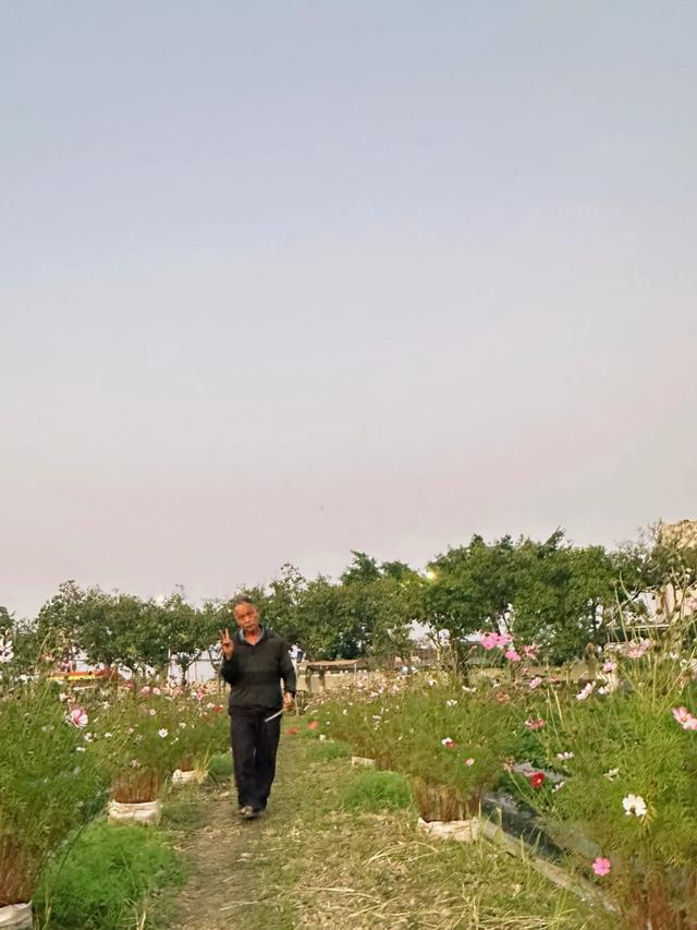 从化漫游记:撞见广州最温柔的落日与烟火