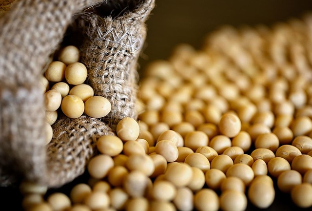 美方派人来华，中美在北京会谈，特朗普宣布：美拿下百亿美元大单