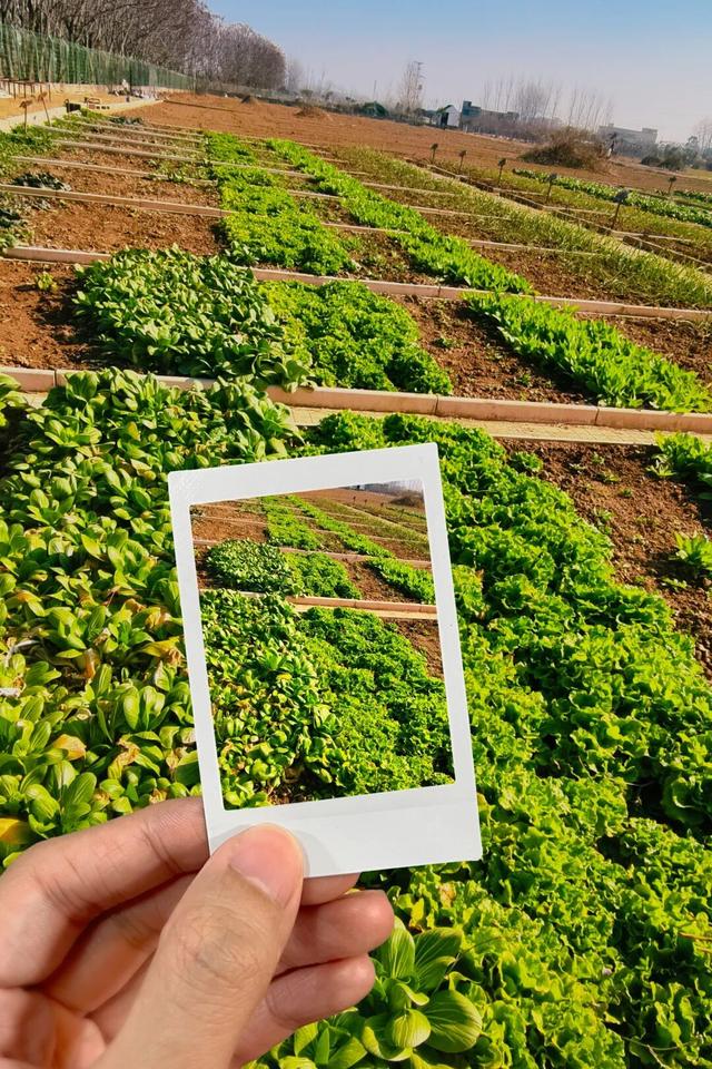 刚刚传来，颍东竟有这么多宝藏地？！今天，好多阜阳人都去了！直击现场......