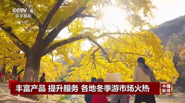 两天七次！安陆霸屏央视