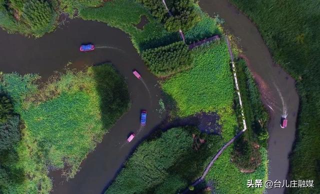 学生春假及五一去哪儿玩？台儿庄六大景区门票免费！