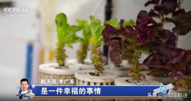 空间站菜园大丰收，生菜打包存储，升级种植设备后实现了吃菜自由