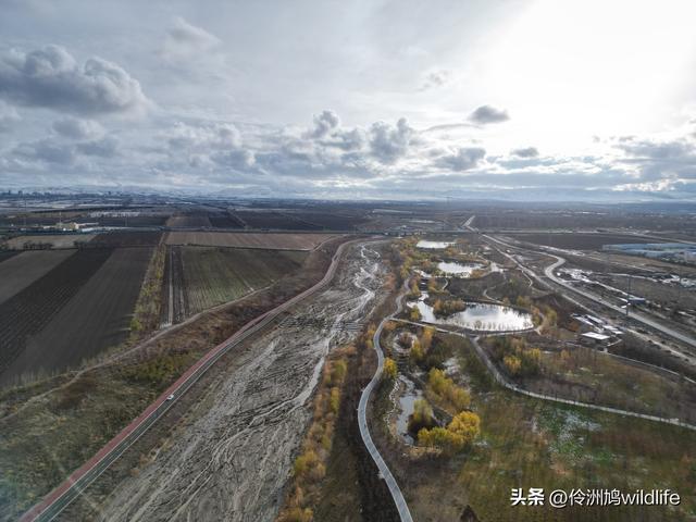 新疆昌吉头屯河公园