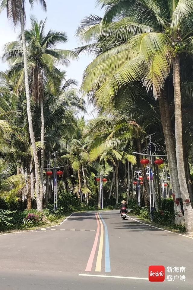 晃悠骑行+佛系赶海,在文昌这个小渔村按下0.5倍速