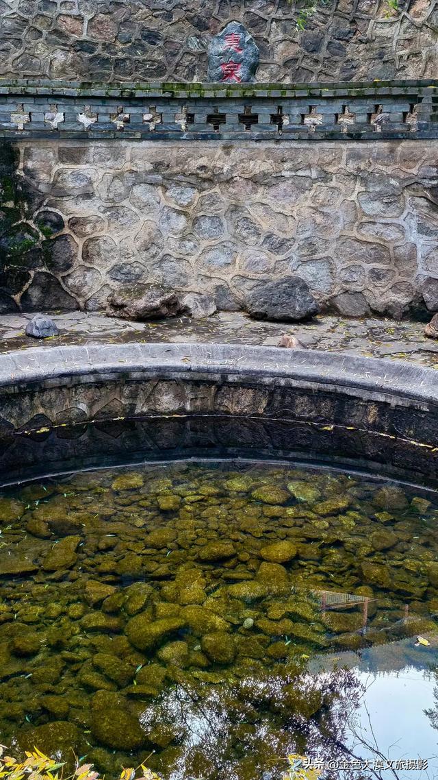 秋染五泉山:兰州城畔的千年诗意与一季斑斓