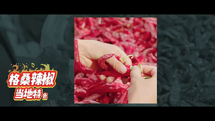 遇见高原的城｜拉琼带你游加查