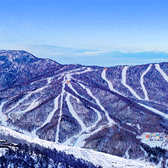 收藏！“约会哈尔滨 冰雪暖世界”冬季专属表情包上线了！