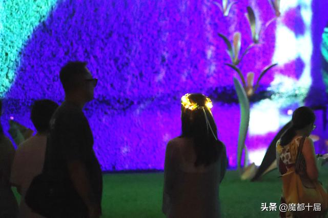 温室花园夜游启幕！下雨浇不灭游客热情
