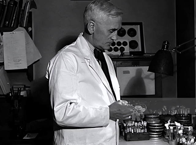 量子芯片有多牛？5分钟完成超算千年任务，未来已来