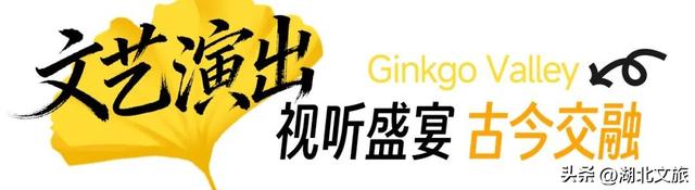 一叶知秋，一梦千年：千年银杏谷"金枝节"邀您入画!