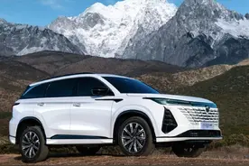 盘点20万以内极具性价比的燃油车型，最后一个是曾经的大哥！图片