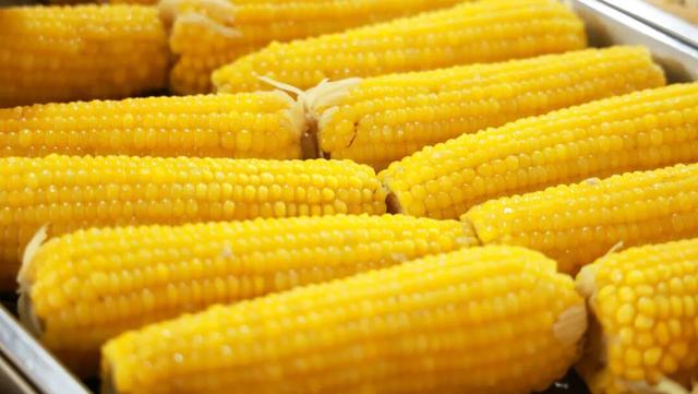 鲁南制药的初冬，一场“色香味俱全”的极致盛宴