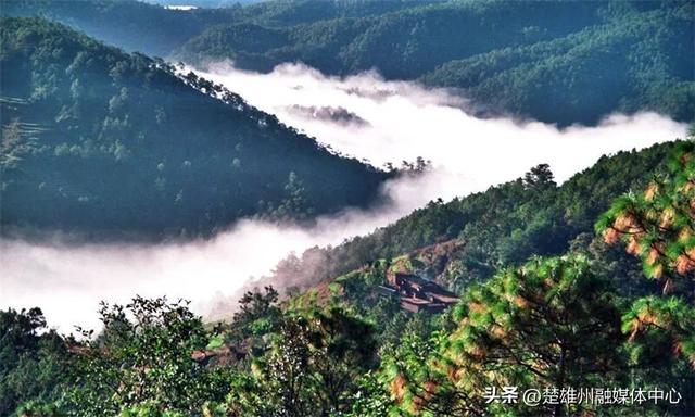 不限次入园！楚雄一景区门票年卡、优惠卡正在办理🤩