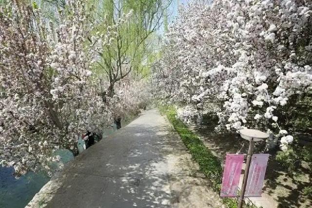 北京元大都城垣遗址公园 海棠花溪