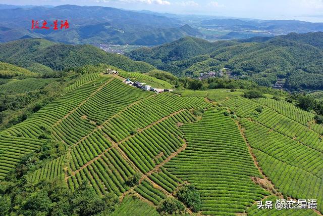 定了！假日就来这儿：游古村，赏粉黛花海