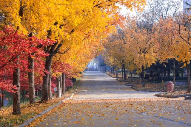 鲁南制药的初冬，一场“色香味俱全”的极致盛宴