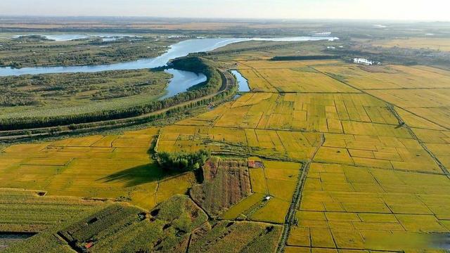 农民也能评正高级职称？从浙江山东到辽宁，多地推行释放什么信号