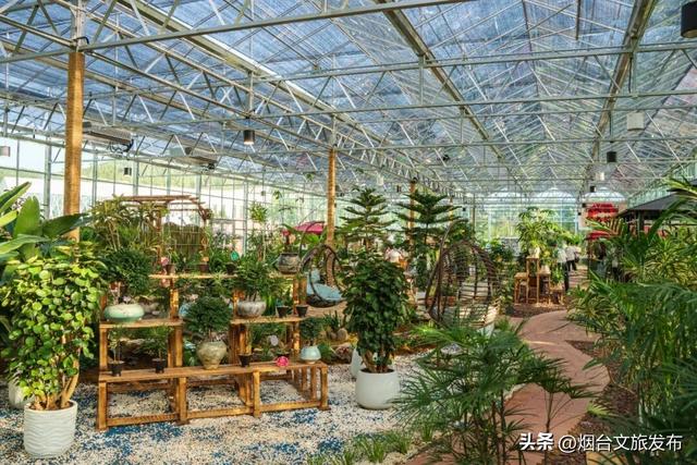 【乐游烟台】高性价比！烟台被严重低估的神仙遛娃地