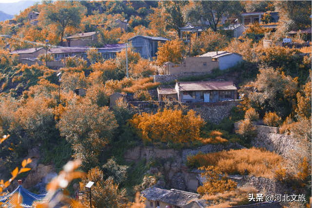 原来你可以这样游张家口——特色民宿多彩之旅
