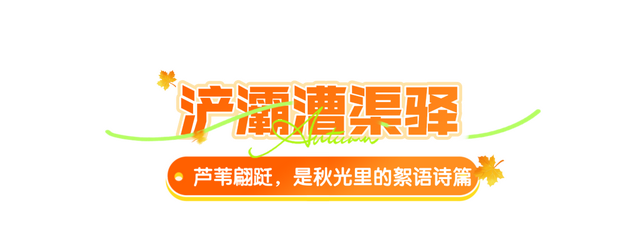 绝美！西安的秋天已美到next level...