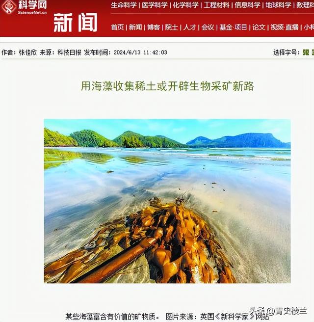 美国稀土技术革命性突破，可用效率达顶尖水平，中国地位遭威胁？
