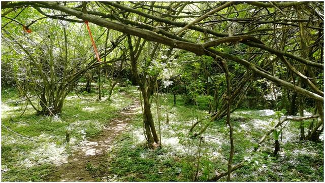 柳州市郊外几个小众景点（几个小草原，重点：拉建草原徒步环线）