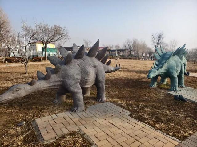 揭秘！诸城服务区为何能成为旅途中的“神秘打卡地”？