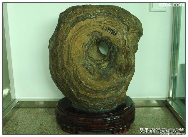 山东行游影记（31）—平邑天宇自然博物馆（六）