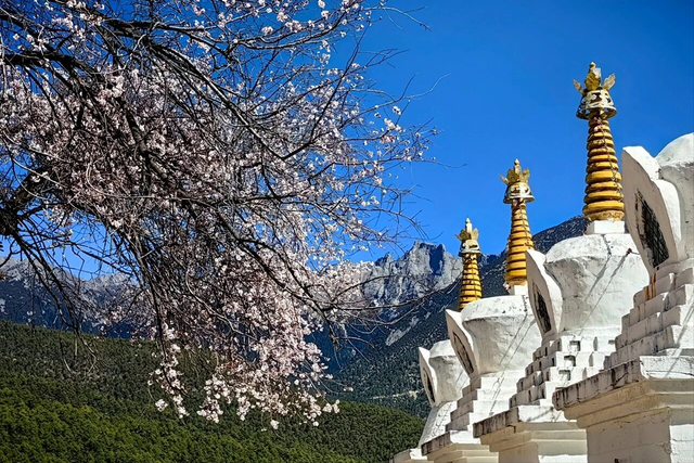 强烈建议3-5月走起的9条自驾路线，春天花开成海，沿途美成天堂！