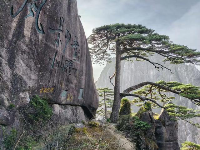 漫步黄山松掩山丛树杪，云隐仙踪徒步蹬道千阶