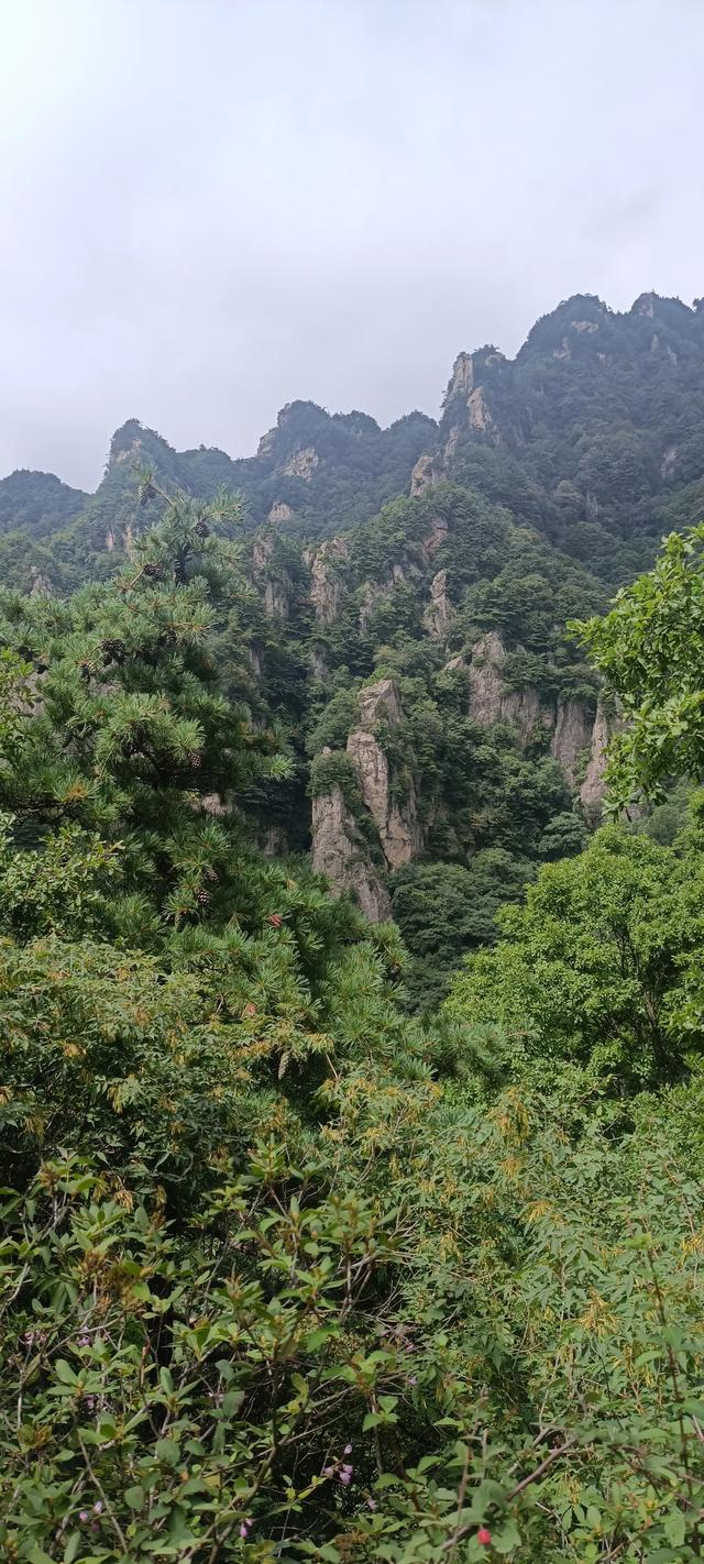 王顺山观景台风光