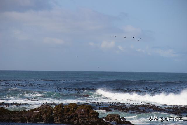 南部非洲：南非好旺角