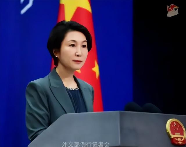 德国外长连续两天公开批中国，说我们咄咄逼人，中方在24小时内作出正式回应，回击亮了