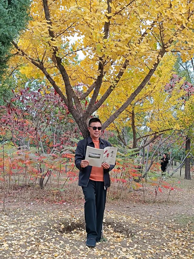 宣化万柳公园银杏黄来火炬红，战友军嫂游园观赏图片集