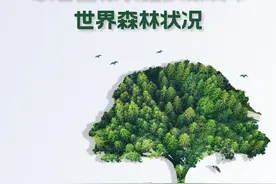 联合国粮农组织新发布世界森林状况图片
