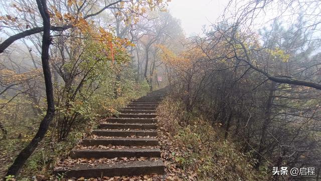 再游石门山森林公园