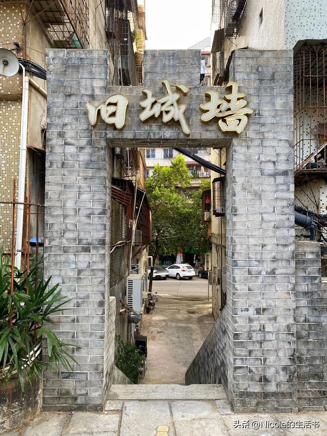 凤城寻踪：一条老巷与一座城的文化觉醒