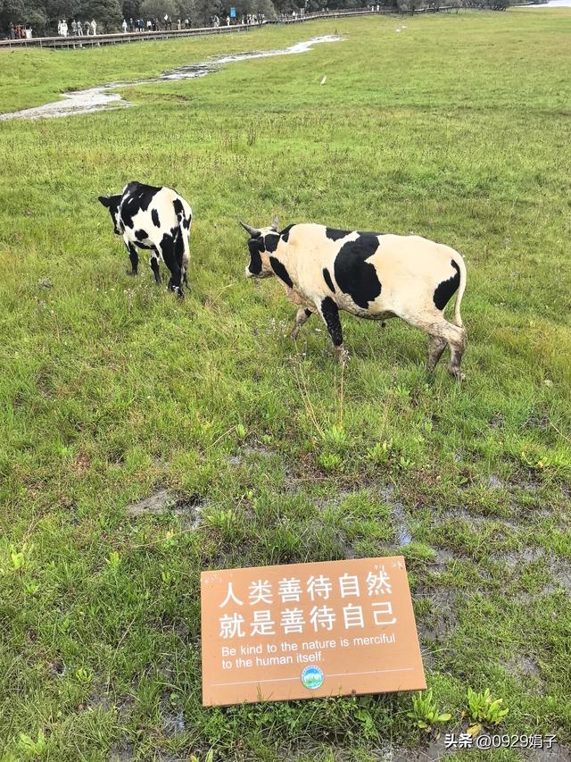 幸福生活不只在于丰衣足食，也在于碧海蓝天