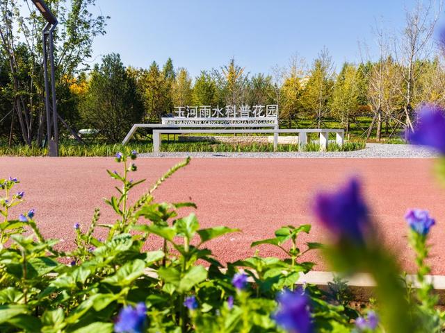 故宫北院区旁新添“生态明珠”，玉河湿地公园打造多元亲水活力场景