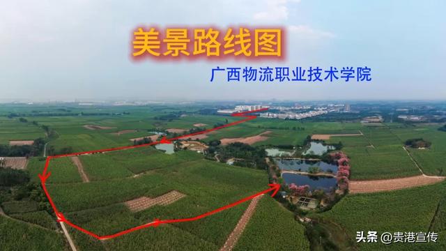 这个鲜花盛开的地方,去过的人都说好!