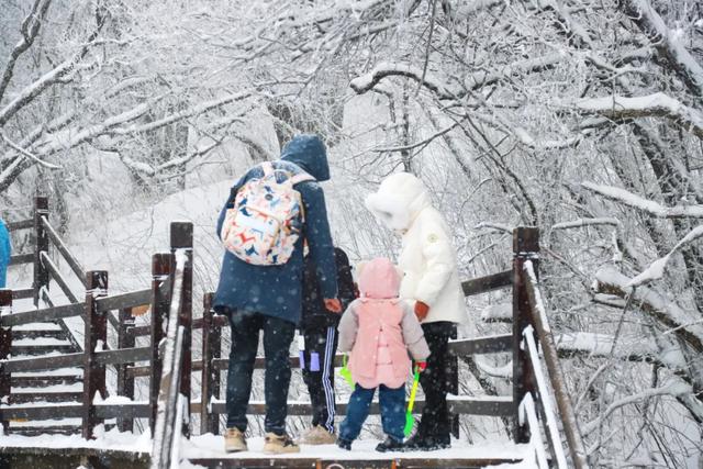 冬日亲子游,首选龙头山!打卡冰雪童话,承包全家欢乐时光~