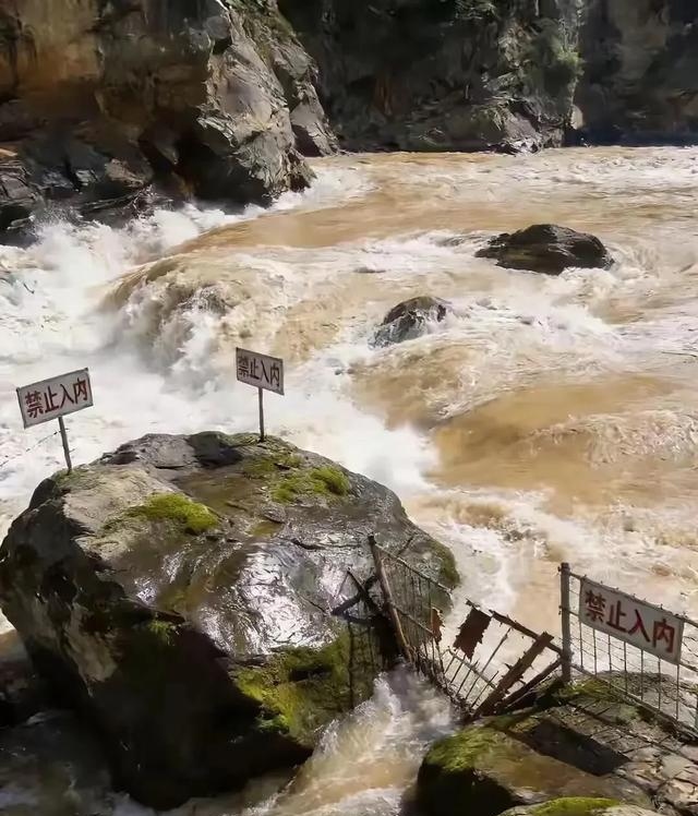 虎跳峡男子落水后续，准新郎身份曝光，救援现场曝光，更多细节