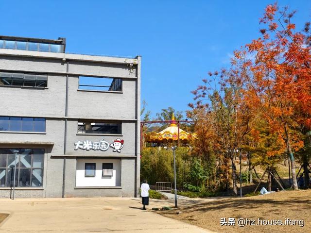 “城北迪士尼”为什么变成了杭州新顶流？