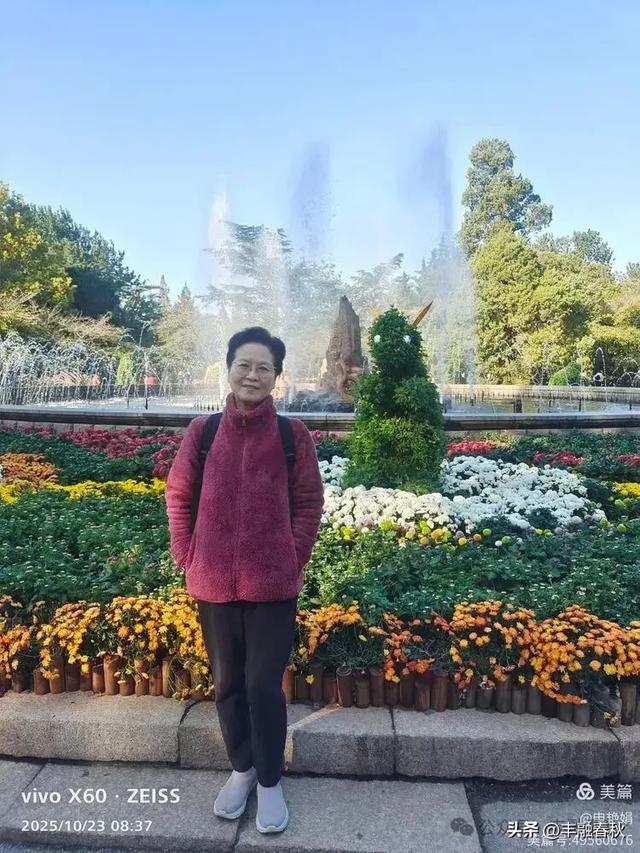 菊绽秋阳里,暗香绕中山|申艳娟