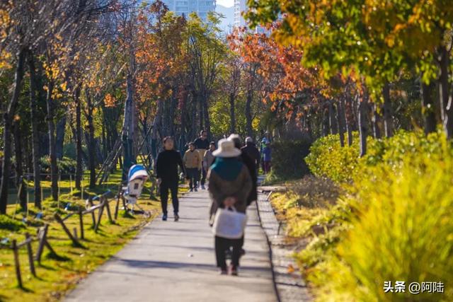 寻找大理海西的最美绿道，色彩缤纷秋意盎然，目测已经开始落叶啦