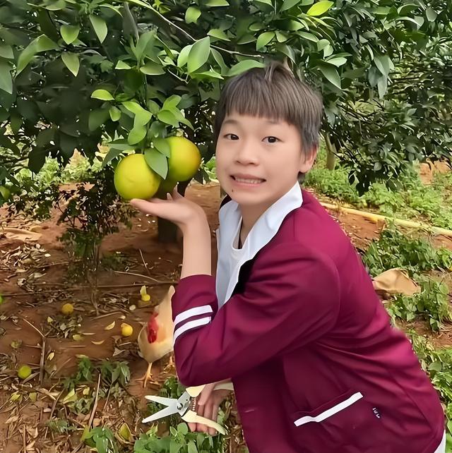 人民日报锐评全红婵捐赠直播收入，释放3大信号，郭晶晶说对了