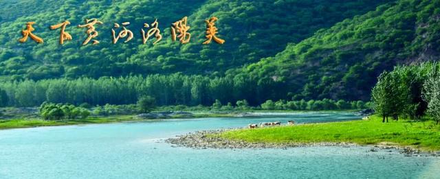 “天下黄河洛阳美”美景图鉴（19）