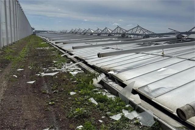 俄罗斯关闭荷兰植物繁殖材料进口通道 荷兰9公顷温室整体倒塌引起行业高度关注 | 每周国际花讯